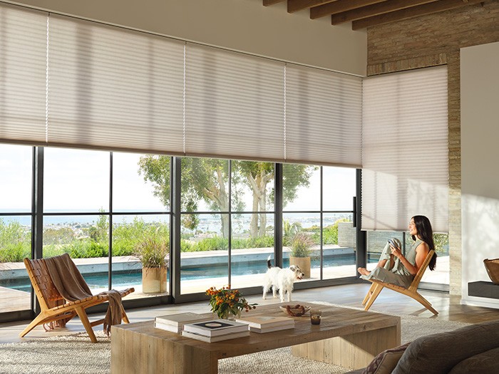 A living room with tall windows featuring Duette Honeycomb Shades Fabric: Thea  Color: Hudson Gray